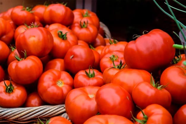 Qual o melhor tipo de tomate para seu molho caseiro? Tomate Caqui